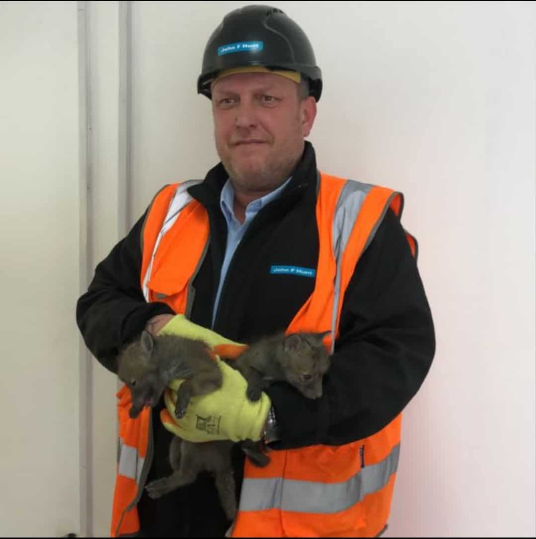 Dean Hutton holding two baby foxes