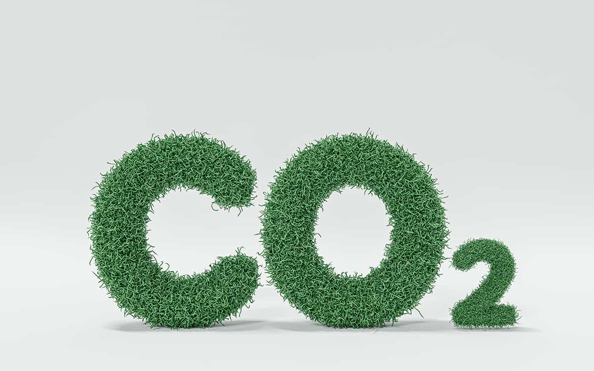 Grass letters spelling the word CO2 3D illustration, 3d render.