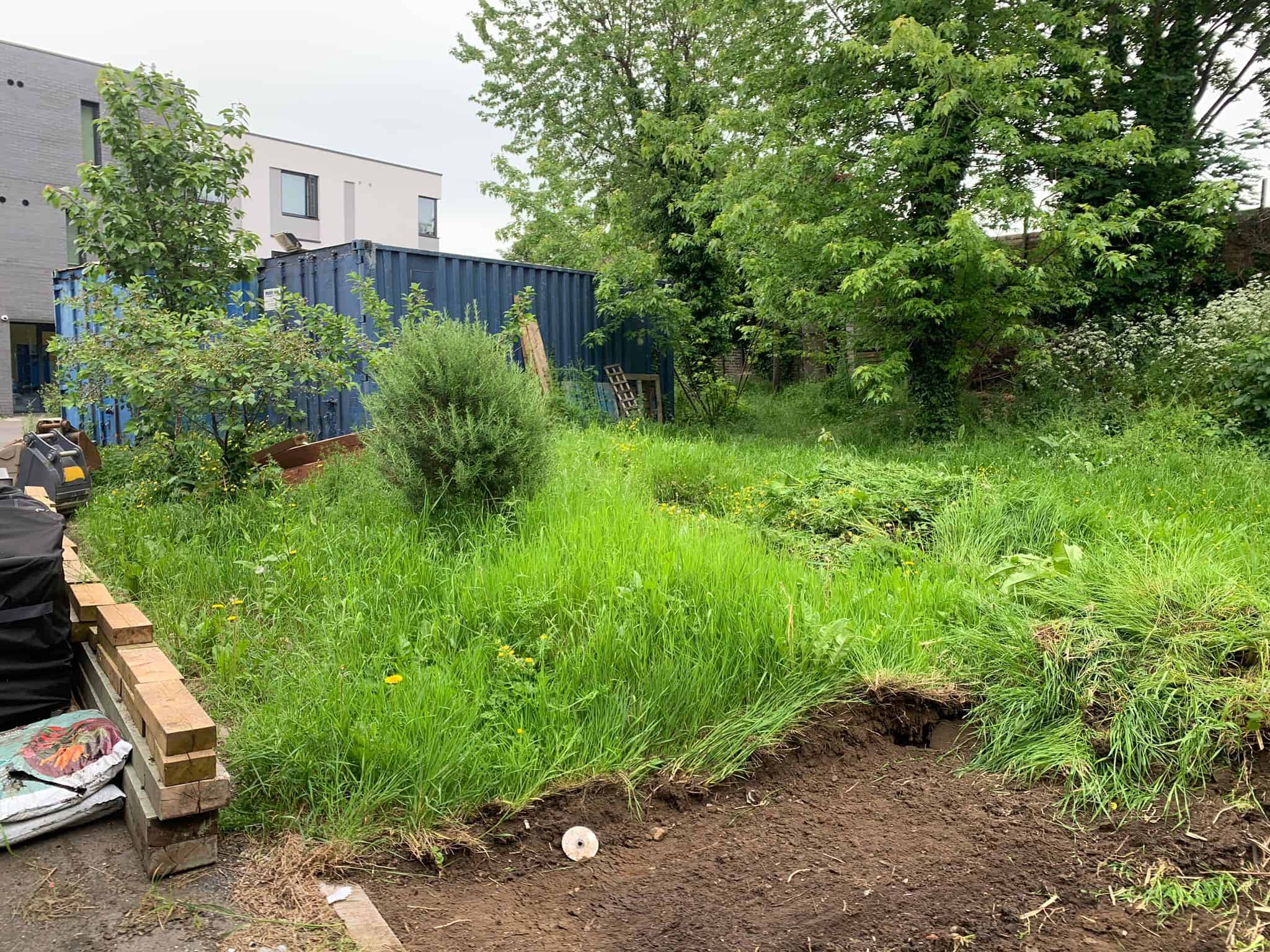 st mungo gardens 4